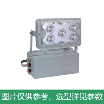 新曙光 LED应急灯5W，白光 NPE4012-C5，5700K，壁装