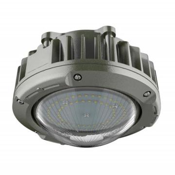 大猩猩 LED防爆灯30W，IP66，WF2 FBP8101-30A