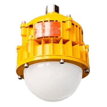 勇玖 防爆平台灯 YBP01，50W
