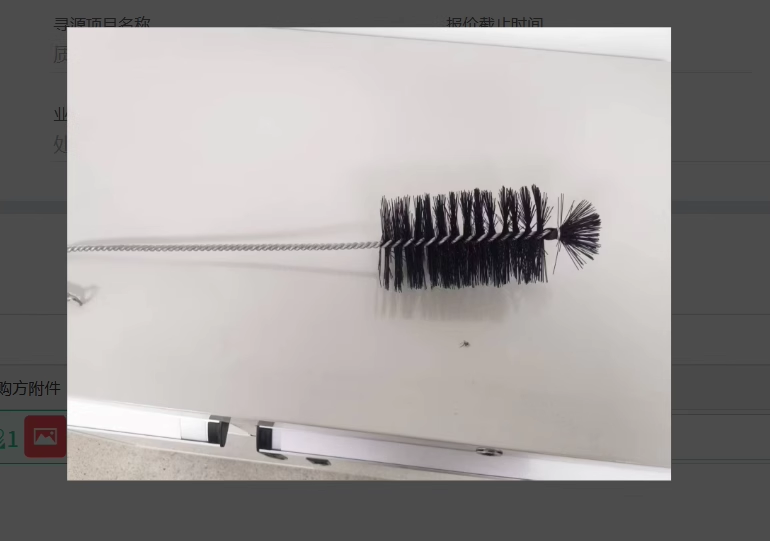 国产 有尖尼龙刷 90*150*600(有尖尼龙刷）