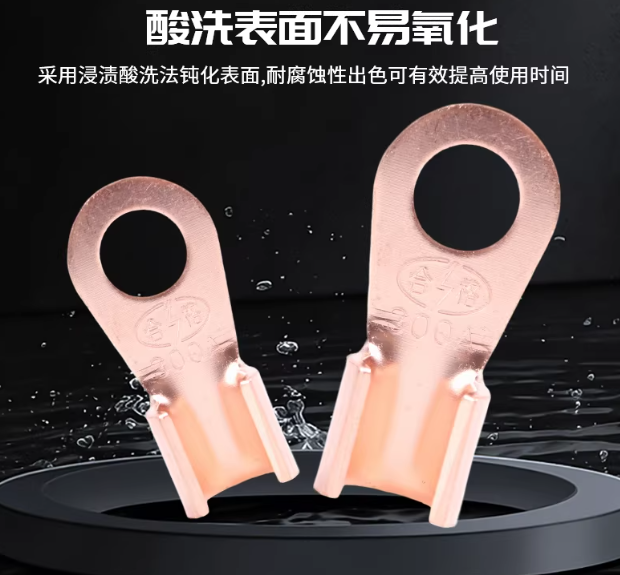 Rantec 铜鼻子 国标紫铜150A 10只